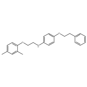 N-[2-(2,4-Dimethylphenoxy)ethyl]-4-(phenethyloxy)-aniline结构式