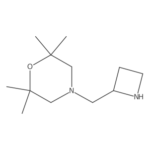 4-[(Azetidin-2-yl)methyl]-2,2,6,6-tetramethylmorpholine Structure