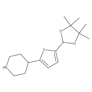 4-(5-(4,4,5,5-Tetramethyl-1,3,2-dioxaborolan-2-yl)thiophen-2-yl)piperidine结构式