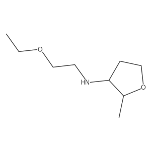 N-(2-Ethoxyethyl)-2-methyloxolan-3-amine结构式