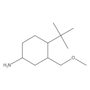 4-Tert-butyl-3-(methoxymethyl)cyclohexan-1-amine结构式