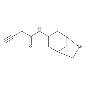 N-{6-azabicyclo[3.2.1]octan-3-yl}but-3-ynamide结构式
