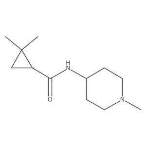 2,2-dimethyl-N-(1-methylpiperidin-4-yl)cyclopropane-1-carboxamide Structure
