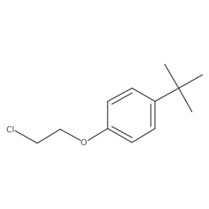 1-Tert-butyl-4-(2-chloroethoxy)-benzene Structure