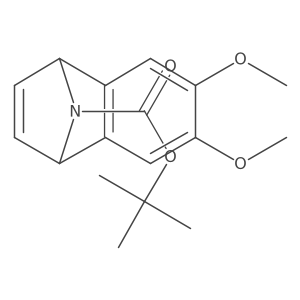tert-Butyl 6,7-dimethoxy-1,4-dihydro-1,4-epiminonaphthalene-9-carboxylate结构式