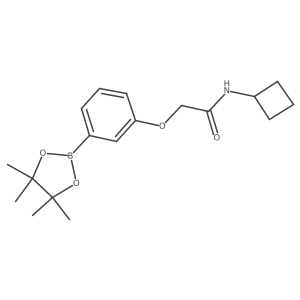 N-cyclobutyl-2-[3-(4,4,5,5-tetramethyl-1,3,2-dioxaborolan-2-yl)phenoxy]acetamide结构式