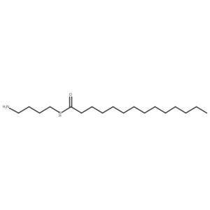 N-(4-Aminobutyl)tetradecanamide Structure