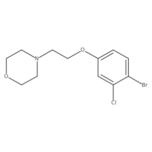 4-[2-(4-Bromo-3-chlorophenoxy)-ethyl]-morpholine结构式