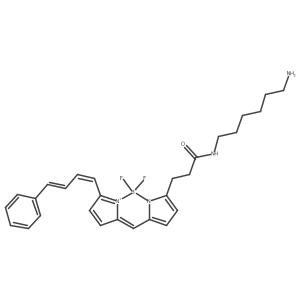 BDP581/591amine Structure