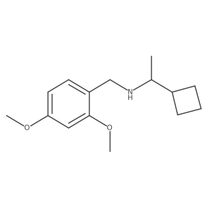 (1-Cyclobutylethyl)[(2,4-dimethoxyphenyl)methyl]amine Structure
