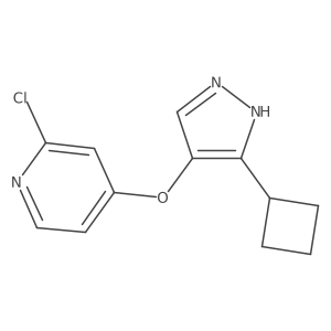 2-Chloro-4-[(3-cyclobutyl-1H-pyrazol-4-yl)oxy]pyridine结构式