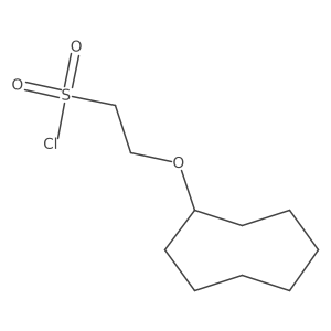 2-(Cyclooctyloxy)ethane-1-sulfonyl chloride Structure