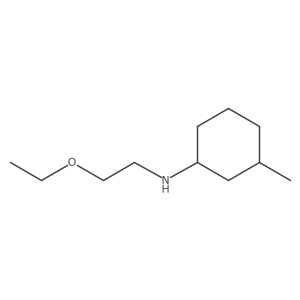 N-(2-ethoxyethyl)-3-methylcyclohexan-1-amine结构式