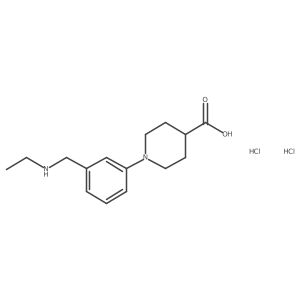 1-{3-[(Ethylamino)methyl]phenyl}piperidine-4-carboxylic acid dihydrochloride Structure