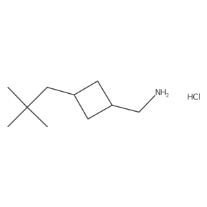1-[3-(2,2-Dimethylpropyl)cyclobutyl]methanamine hydrochloride Structure