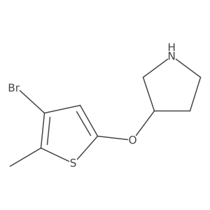 3-[(4-Bromo-5-methylthiophen-2-yl)oxy]pyrrolidine结构式