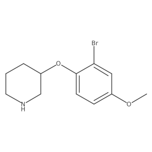 3-(2-Bromo-4-methoxyphenoxy)piperidine结构式