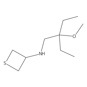 N-(2-Ethyl-2-methoxybutyl)thietan-3-amine结构式