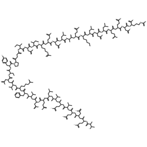 HES1 protein, human结构式