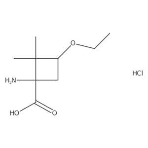 1-Amino-3-ethoxy-2,2-dimethylcyclobutane-1-carboxylic acid hydrochloride Structure