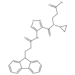 2172202-28-5 structure
