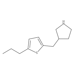 3-[(5-Propylthiophen-2-yl)methyl]pyrrolidine Structure