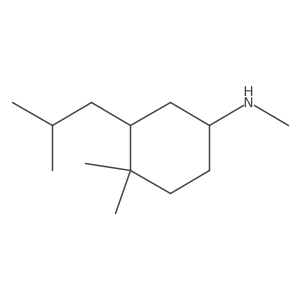 N,4,4-trimethyl-3-(2-methylpropyl)cyclohexan-1-amine Structure