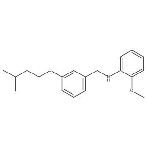 N-[3-(Isopentyloxy)benzyl]-2-methoxyaniline Structure
