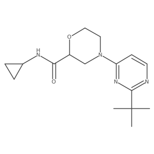 4-(2-tert-butylpyrimidin-4-yl)-N-cyclopropylmorpholine-2-carboxamide结构式