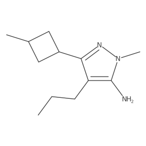 1-methyl-3-(3-methylcyclobutyl)-4-propyl-1H-pyrazol-5-amine结构式