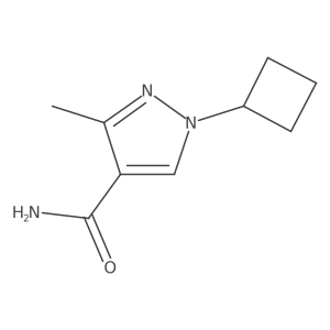 1-cyclobutyl-3-methyl-1H-pyrazole-4-carboxamide结构式