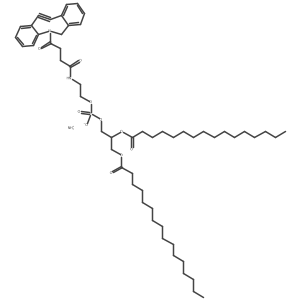 16:0 Dbco PE Structure