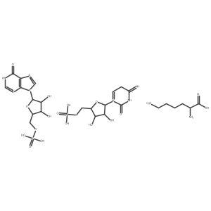 (2S)-2,6-diaminohexanoic acid;[(2R,3S,4R,5R)-3,4-dihydroxy-5-(4-imino-2-oxo-5H-pyrimidin-1-ium-1-yl)oxolan-2-yl]methyl dihydrogen phosphate;[(2R,3S,4R,5R)-3,4-dihydroxy-5-(6-oxo-1H-purin-9-yl)oxolan-2-yl]methyl dihydrogen phosphate Structure