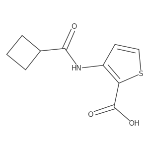 3-[(Cyclobutylcarbonyl)amino]-2-thiophenecarboxylic acid Structure