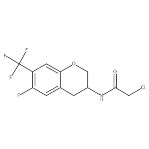 2-chloro-N-[6-fluoro-7-(trifluoromethyl)-3,4-dihydro-2H-1-benzopyran-3-yl]acetamide结构式