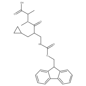 2648919-50-8 structure