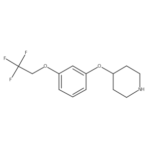 1304788-13-3 structure