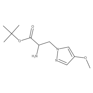 2137472-58-1 structure