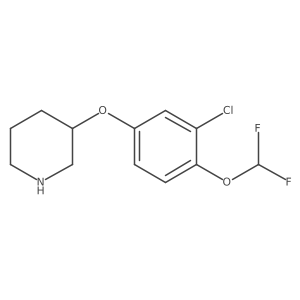 3-[3-Chloro-4-(difluoromethoxy)phenoxy]piperidine结构式