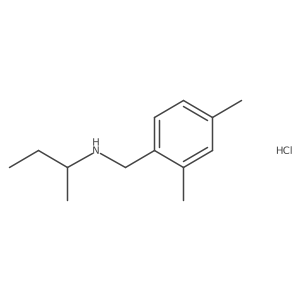 (Butan-2-yl)[(2,4-dimethylphenyl)methyl]amine hydrochloride Structure