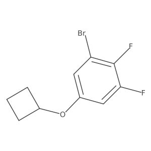 1-Bromo-5-cyclobutoxy-2,3-difluorobenzene Structure