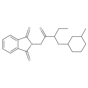 1,3-dioxo-2,3-dihydro-1H-isoindol-2-yl 2-[(3-methylcyclohexyl)oxy]butanoate结构式