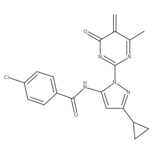 4-chloro-N-[5-cyclopropyl-2-(4-methyl-5-methylidene-6-oxopyrimidin-2-yl)pyrazol-3-yl]benzamide Structure