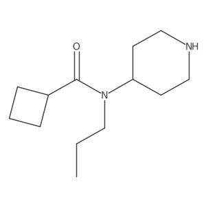 N-(Piperidin-4-YL)-N-propylcyclobutanecarboxamide Structure