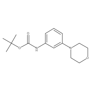 Tert-butyl (3-morpholinophenyl)carbamate结构式