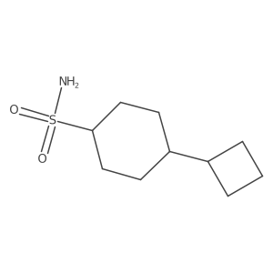 4-Cyclobutylcyclohexane-1-sulfonamide Structure