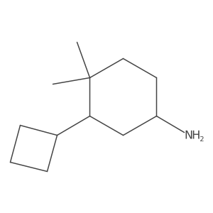 3-Cyclobutyl-4,4-dimethylcyclohexan-1-amine Structure