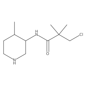 3-chloro-2,2-dimethyl-N-(4-methylpiperidin-3-yl)propanamide Structure
