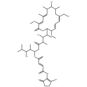 Bafilomycin E Structure