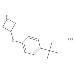 3-[4-(tert-Butyl)phenoxy]azetidine hydrochloride Structure